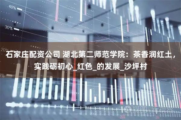 石家庄配资公司 湖北第二师范学院：茶香润红土，实践砺初心_红色_的发展_沙坪村