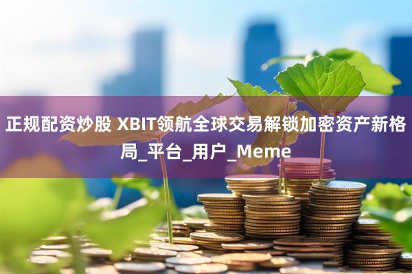 正规配资炒股 XBIT领航全球交易解锁加密资产新格局_平台_用户_Meme