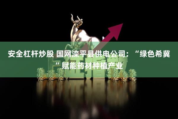 安全杠杆炒股 国网滦平县供电公司：“绿色希冀”赋能药材种植产业