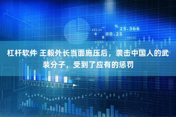 杠杆软件 王毅外长当面施压后，袭击中国人的武装分子，受到了应有的惩罚