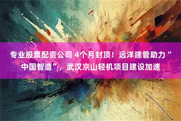 专业股票配资公司 4个月封顶！远洋建管助力“中国智造”，武汉京山轻机项目建设加速